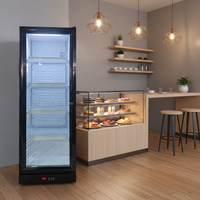 Réfrigérateurs à vin et boissons verticaux à porte vitrée avec éclairage LED, 220V, équipement de réfrigération à compresseur, vitrine réfrigérée pour stockage instantané de boissons