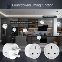 Prise intelligente SIXWGH Tuya BLE, prise britannique, surveillance intelligente à distance, moniteur de puissance 16/20A pour Google Home Alexa SDK