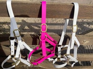 HE5600 Licol pour cheval en PVC de qualité supérieure, rembourré et confortable, avec ferrures en laiton, équipement d'équitation durable, fabriqué dans l'Uttar Pradesh - Product Image 4