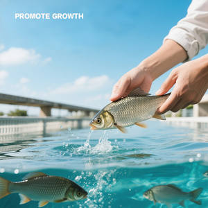 Probióticos EM para Acuicultura, Microbios <span class=keywords><strong>de</strong></span> Grado Alimenticio para Acuicultura en Agua <span class=keywords><strong>de</strong></span> Mar, Promueven el Crecimiento Saludable, Nutrición, Residuos Orgánicos - Product Image 3