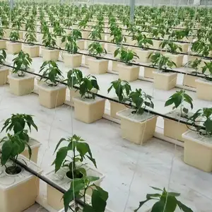 Система гидропонного выращивания в теплице из пищевого материала, Голландская система гидропоники 11 л