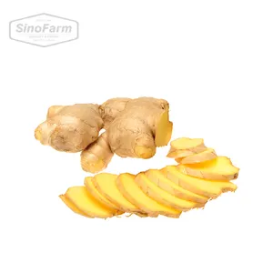 Fresh Dry Jengibre Buy Dried Ginger Buyers For Wholesale China Ginger For Sale Cheap Price