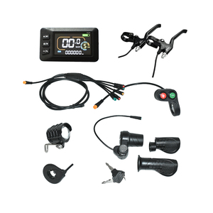 Consegna Rapida: Kit Bici Elettrica con Controller Integrato, Cerchi da 26 Pollici, Motore Hub 36V 250W e Vano Batteria - Modello India - Product Image 4