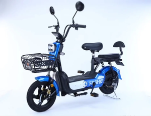 Vélo <span class=keywords><strong>cargo</strong></span> électrique en promotion directe usine, longue autonomie, options 350W, vélo électrique à 2 roues pour adultes - Product Image 6