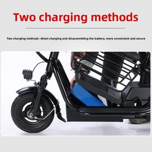 Scooter électrique léger de 10 pouces pour personnes âgées, hommes et femmes, 48 V 1000 W, pour transporter des enfants et faire les courses - Product Image 3