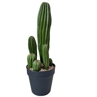 Plante de cactus artificielle en plastique, décoration de jardin, cactus pour la décoration intérieure et extérieure, maison, bureau, plantes artificielles, plantes factices
