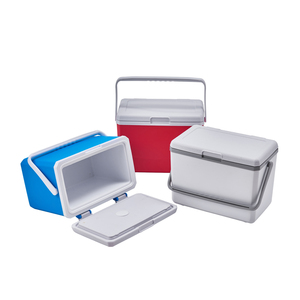Bán Buôn Thả 3L 5L Nhỏ <span class=keywords><strong>Cooler</strong></span> Box Xách Tay Ngoài Trời Cắm Trại Lon Bia Rượu Lạnh Uống Lưu Trữ <span class=keywords><strong>Container</strong></span> Nhựa <span class=keywords><strong>Cooler</strong></span> - Product Image 2
