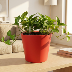 Pot de fleurs intelligent à arrosage automatique PP avec indicateur de niveau d'eau, en plastique moulé par injection, pour plantes d'intérieur et d'extérieur - Product Image 1