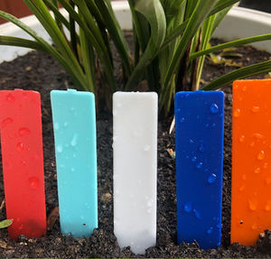 50 pezzi colorati ispessiti per piante da vivaio impermeabili con nome etichetta di piante in plastica da giardino - Product Image 5
