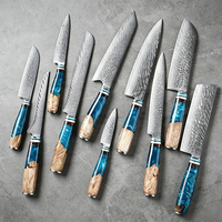 Ensemble de couteaux de cuisine en acier Damas à 67 couches, manche en résine antidérapant durable, couteaux de chef professionnels