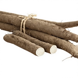 Extrait de poudre de racine de bardane de qualité supérieure, soutien naturel à base de plantes pour la détoxification, le bien-être de la peau, la digestion, la purification et la santé quotidienne - Product Image 1