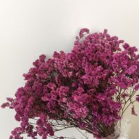 Grosir Statice Caspia bunga kering rumput Misty diawetkan Limonium laut Lavender Limonium bunga kering untuk acara dekorasi pernikahan