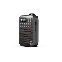 Radio portable haute puissance D-22 pour personnes âgées avec batterie au lithium, lecteur de carte et fonction d'enregistrement pour appels professionnels