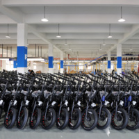 Vélo électrique Feiwel à moteur central, pneus larges, 750W 48V, modèle Step-Thru pour la neige, avec porte-bagages arrière