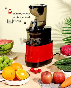 Machine à jus de carotte industrielle de haute performance, extracteur de jus à froid à prix abordable - Product Image 3