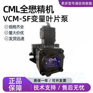 Pompe hydraulique à palettes variables CML VCM-SF-15C-10 à montage sur bride pour systèmes hydrauliques - Product Image 2