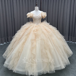 Robe de bal élégante avec appliques en champagne, broderie, perles, paillettes, taille naturelle, longueur au sol, couleur bonbon, fête, Quinceañera - Product Image 5