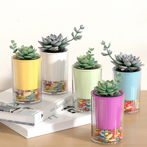 <span class=keywords><strong>Maceta</strong></span> Hidropónica de Plástico Ecológica, Duradera, Simple y Ligera para Uso en Interiores, <span class=keywords><strong>Maceta</strong></span> de Jardinería con Autorriego - Product Image 4