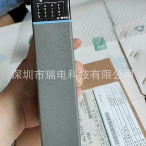 Módulo de Entrada Koyo U-08N, 8 Puntos de Entrada Digital, 220V, Hecho en China - Product Image 4