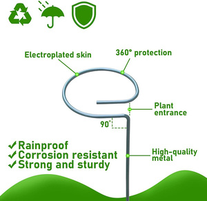 Dropshipping 60cm Single Stem Plant Stakes Stainless Steel <strong>Flower</strong> <strong>Support</strong> Rings for Amaryllis Orchid Lily Rose and Tomatoes - Product Image 3