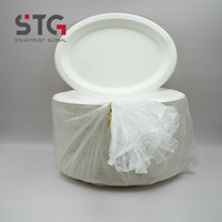 Assiette ovale en bagasse STG de 10 pouces, écologique, biodégradable, sans BPA, jetable, pour la restauration à emporter, certifiée BRCGS Food System