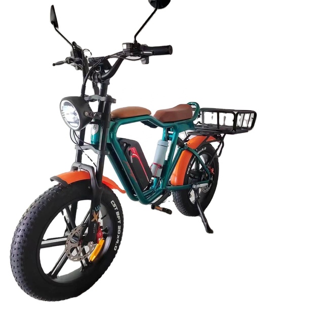 Delivery EBike Family Ebike 1000W Fat Tire Electric Bike Oil Brake Full Suspension 48V22Ah Electric Bike Fat Tire Electric Bike