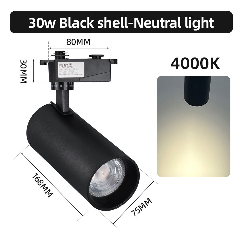 30W Noir -4000K