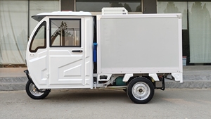 Xăng điện ba bánh Tủ đông hoàn toàn đóng cửa cabin tươi giữ lạnh Chuỗi Giao thông vận tải <span class=keywords><strong>Ice</strong></span> Cream lạnh phòng lưu trữ - Product Image 4