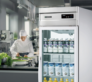 Refrigerador con Puerta de Vidrio y Enfriamiento por Ventilador de 25 Pies Cúbicos, 220V, Acero Inoxidable, Control Digital para <span class=keywords><strong>Supermercado</strong></span> - Product Image 5