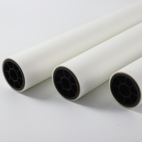 Rouleau de film de transfert DTF double face 30cm*100m/60cm*100m pour imprimante DTF