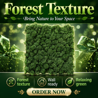 Kit de décoration murale en feuilles vertes naturelles, panneau décoratif en mousse de renne stabilisée pour jardin vertical intérieur