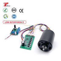 Moteur de pompe sans balais DC 42mm 12v/24v Mini Bldc avec construction à aimant permanent