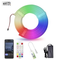 Tube lumineux néon programmable haute luminosité pleine couleur 20 mm IP67 DC24V 270 ° Lumières néon LED flexibles pour l'éclairage de projets