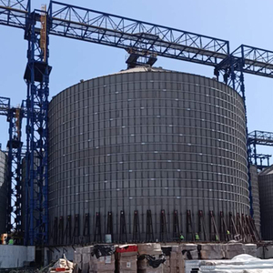 Silo à grain en acier à fond plat <span class=keywords><strong>Shelley</strong></span> Husbandry pour le riz - Product Image 4