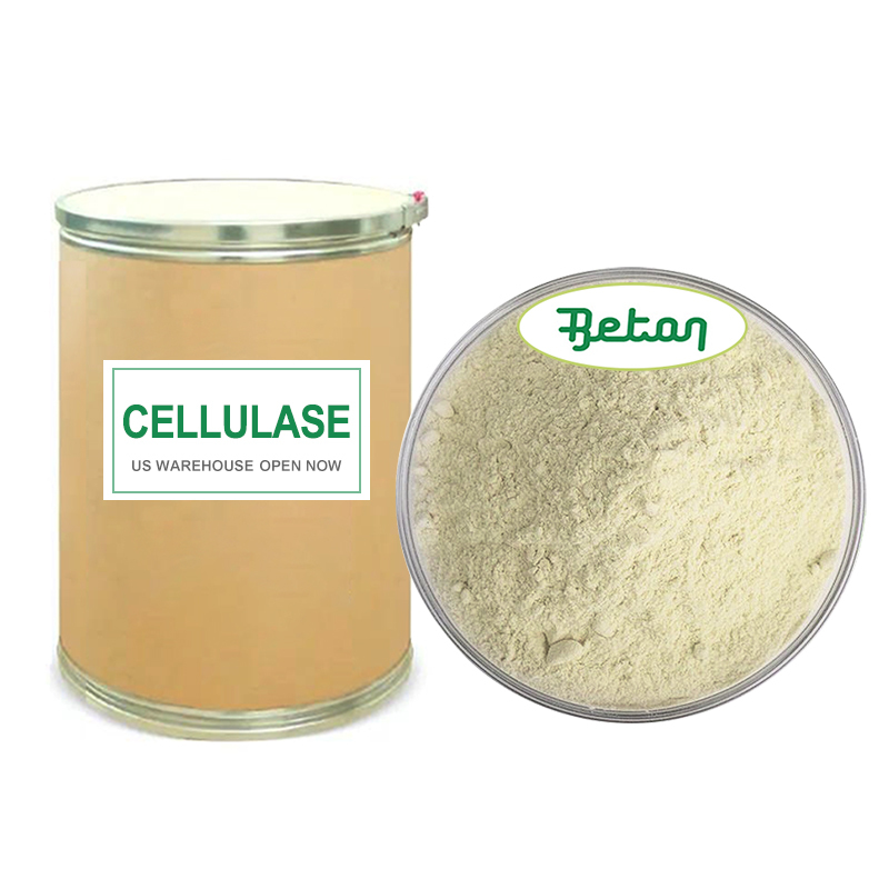 Food Grade Lipase Enzyme 50000 U