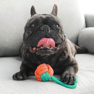 Nuevo Juguete Resistente para Perros de Polipropileno con Nudos de Algodón, Cuerda de Algodón para Masticar, Colores Contrastantes - Product Image 4