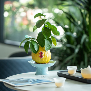 Wuxitang Plat à fruits en céramique de style chinois sur pied, plateau à thé et à collations, et récipient pour plantes aquatiques (Bergamote, Citron) - Product Image 4