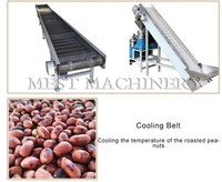 Beurre d'arachide automatique 100-300 kg/h faisant des machines de fabricant de sauce d'arachide