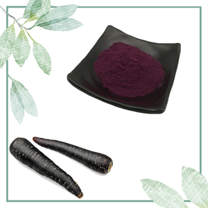 Estratto di ravanello <span class=keywords><strong>nero</strong></span> naturale polvere di carota nera polvere di ravanello <span class=keywords><strong>nero</strong></span> - Product Image 1