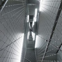 SS 304 diamant surélevé rampe de passerelle métal virole corde maille Inox câble Webnet pour la sécurité