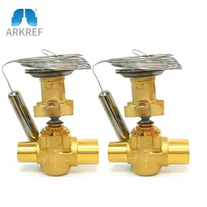 China Supplier Cold Storage Welding Type R404A R507 TE5-55 TGE Danfoss Thermal Expansion Valve