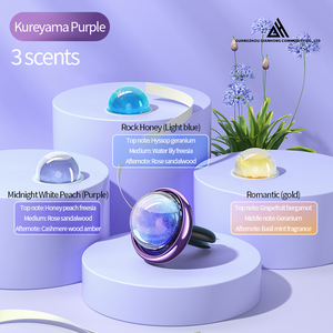 Sang trọng xe làm mát không khí tăng biểu tượng tùy chỉnh hương liệu nước hoa khuếch tán vật liệu kim loại Clip Vent vị trí xe máy lọc không khí - Product Image 4