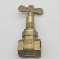 Vanne de porte étanche forgée à commande magnétique BSP n1, filetage protecteur, avec serrure à clé, couteau de slime, étanche à air pour compteur d'eau