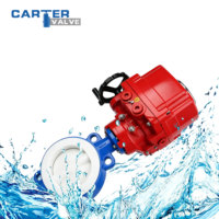 Válvula de Mariposa Manual Revestida de PTFE, FEP, PFA, de Hierro Dúctil, Tipo Lug, IP67, para Tratamiento de Agua, ANSI B16.5, Personalizada
