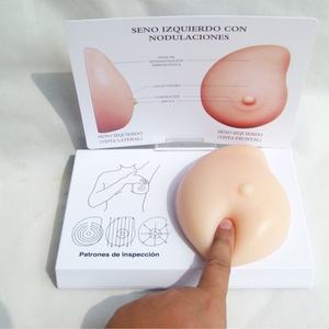 Modelo Anatómico Humano de Seno Femenino en Silicona 3D, Material Suave, para Práctica de Autoexploración, con Certificación CE/ISO - Product Image 3