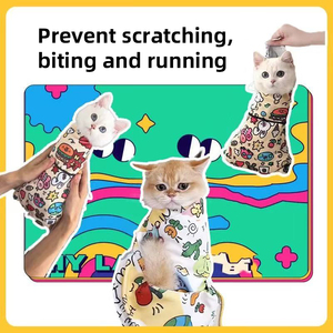 Phim Hoạt Hình Phong Cách Dễ Thương Ma Thuật Vải Quần Áo Vật Nuôi Hàng Trăm Bản Vá Lỗi Mạnh Mẽ Tự Dính Bọc Tiêm Chủng Rửa Tai - Product Image 4