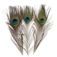 Vases décoratifs en plumes de paon naturelles en gros, ornements de bouteilles, bijoux en vraies plumes avec grand œil et motif de plumes vertes teintes