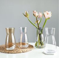Vase moderne en verre soufflé transparent de 8 pouces, terrarium de table écologique pour la décoration de la maison et du bureau