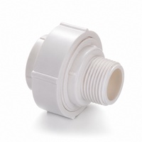 Raccord union en PVC standard BS de 2 pouces avec filetage mâle du fabricant