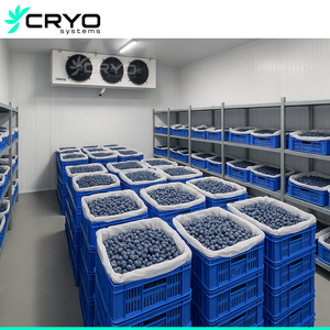 Zuurstofgereguleerde Atmosfeeroplossingen Precisiegestuurde Atmosfeeropslag Voor Fruitgroentebloemen - Product Image 5